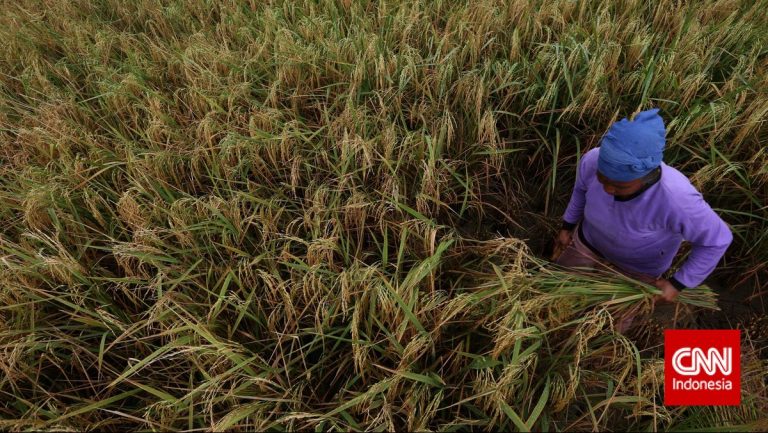 Data Kesuburan Tanah, Cara Pupuk Indonesia Jaga Efisiensi Ekosistem