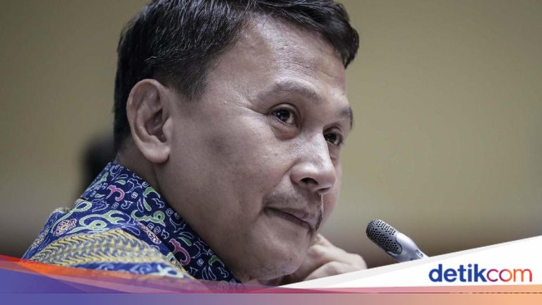 Mardani PKS Dukung Usulan Pembentukan Provinsi Baru di Papua: Harus Matang