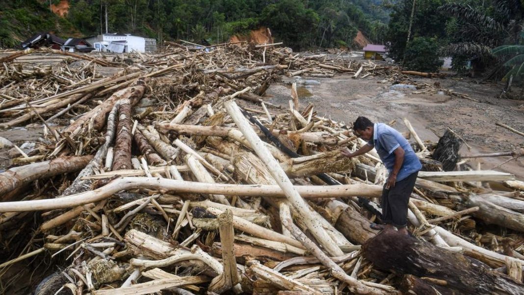 Kayu Terbawa Banjir Bandang di Sumut Boleh Dipakai Warga