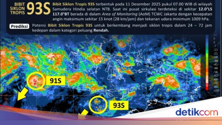Wanti-wanti dari Senayan Agar Bibit Siklon Tropis Tak Dianggap Remeh