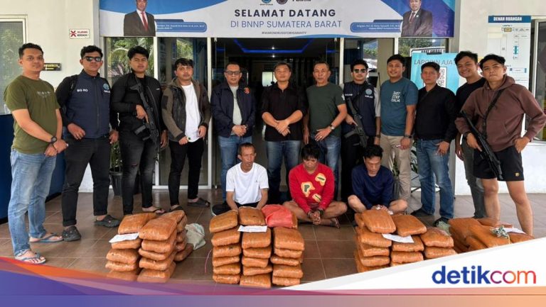 BNN Sumbar Bongkar Peredaran 100 Paket Ganja di Agam, 3 Orang Diamankan