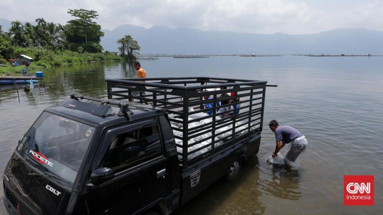 Petrokimia Dorong Produktivitas Tambak di Petro Fishtival Gogoh Iwak