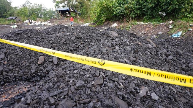 Penampakan 1.430 Ton ‘Gunung Batu Bara’ Ilegal Disita Gakkum ESDM