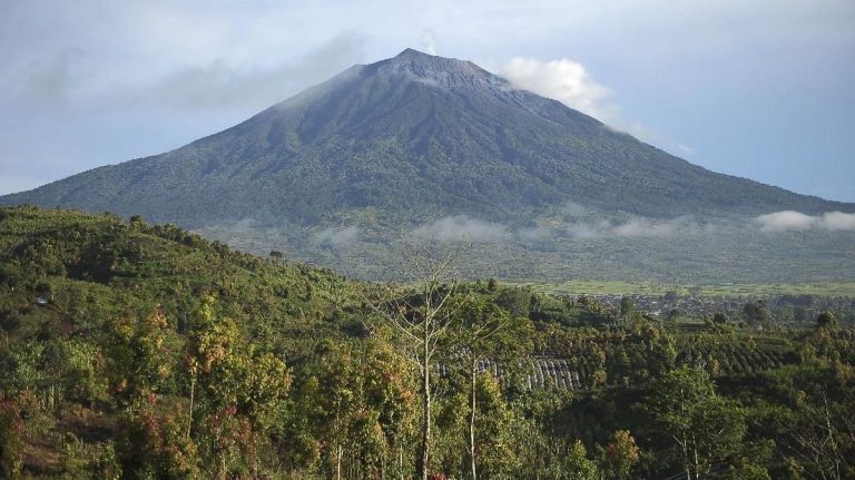 Menhut Turun ke Seblat, Restorasi Konservasi Gajah Dimulai