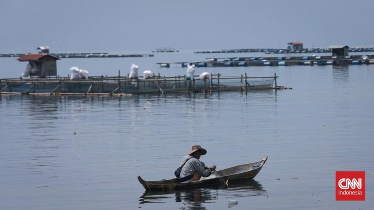 1.428 Ton Ikan di Danau Maninjau Sumbar Mati, Ada Apa?