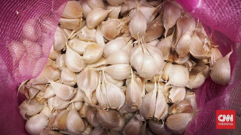 Respons Sentilan Luhut, UGM Beber Sederet Penelitian soal Bawang Putih