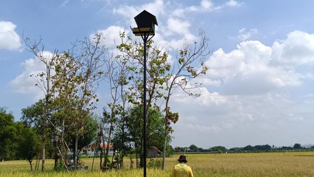 ‘Pasukan Burung Hantu’ Bantu Cegah Petani Banggai Tersetrum di Sawah
