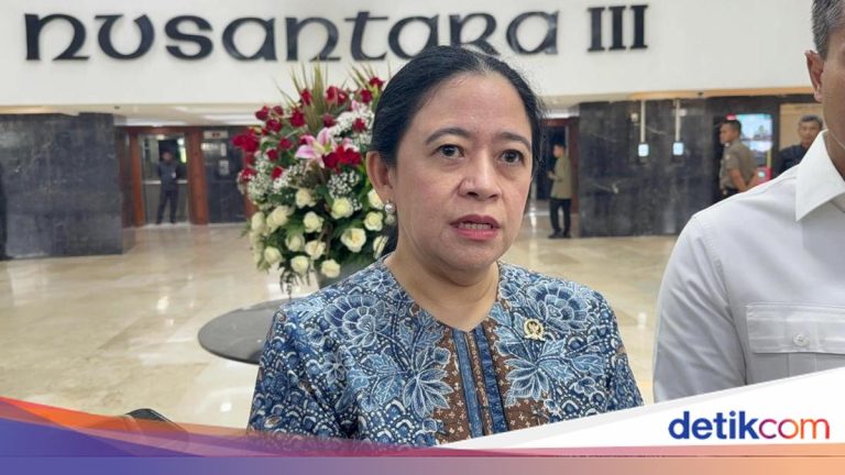 Puan Sebut Bantuan Pemerintah Masih Cukup Tangani Bencana di Sumatera