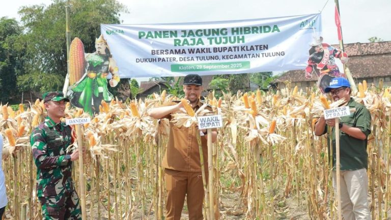Wabup Klaten Pastikan Dukung Petani Lewat Bantuan Benih Jagung di 2026