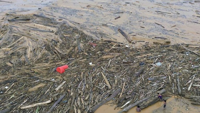 Gelondongan Kayu dari Sumbar Terdampar di Lampung, Polisi Selidiki