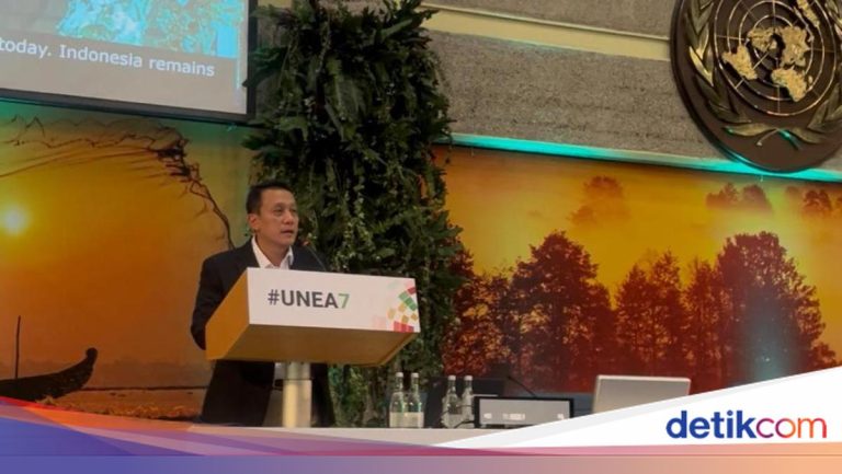 Di Sidang Lingkungan PBB, Wamen LH Kecewa Usulan Pengelolaan Karst Mandek