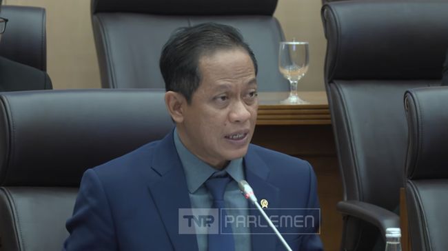 28 Izin Usaha Hutan-Tambang Dicabut, Menteri LH Akhirnya Buka Suara