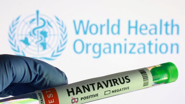 WHO Ungkap 8 Kasus Hantavirus Andes, Bisa Menular Antar Manusia? – Publik Pos Update