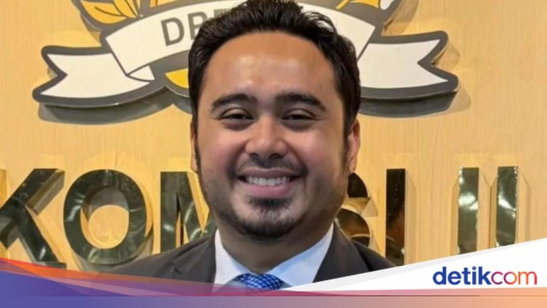 Legislator Golkar Minta Pengeroyok Pencuri Ayam di Bali Ditindak Tegas