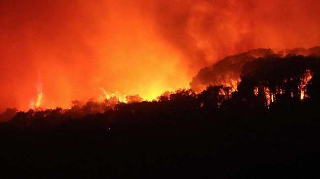 57.000 Hektar Lahan Hutan Terbakar, 12 Tewas Seketika-23 Orang Hilang – Publik Pos Update
