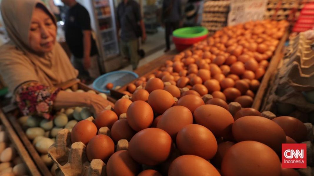 Bapanas Beber Harga Ayam dan Telur Pulih Imbas MBG-Berakhirnya Suro