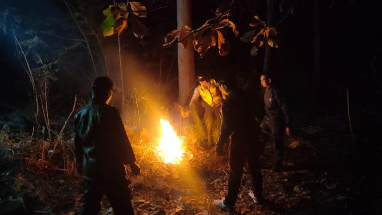 Karhutla di Hutan Ponorogo Seluas 2,3 Hektare, Diduga Ulah OTK