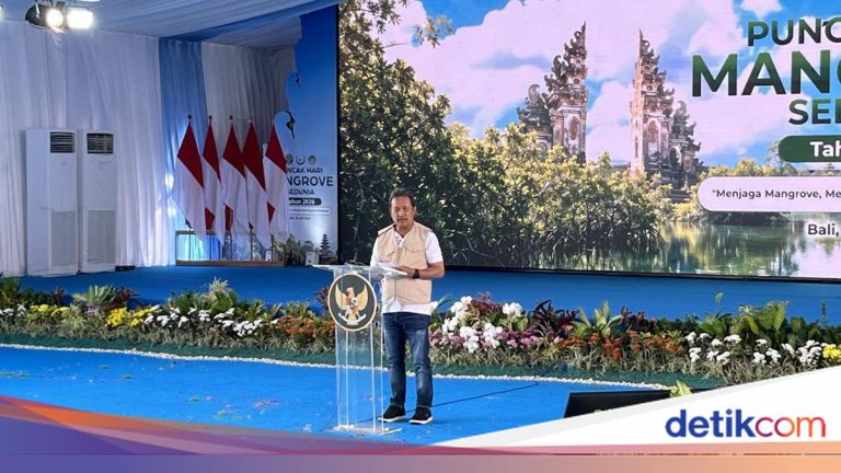 Tekan Kerusakan, Menteri Trenggono Genjot Rehabilitasi Hutan Mangrove