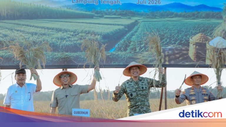 Dukung Swasembada, Gubernur Lampung-Pangdam XXI/Radin Inten Ikut Panen Raya
