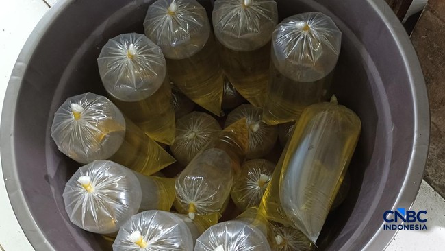 Sindikat Minyak Goreng Subsidi Digerebek, Barang Bukti Rp 2,7 M Disita – Publik Pos Update