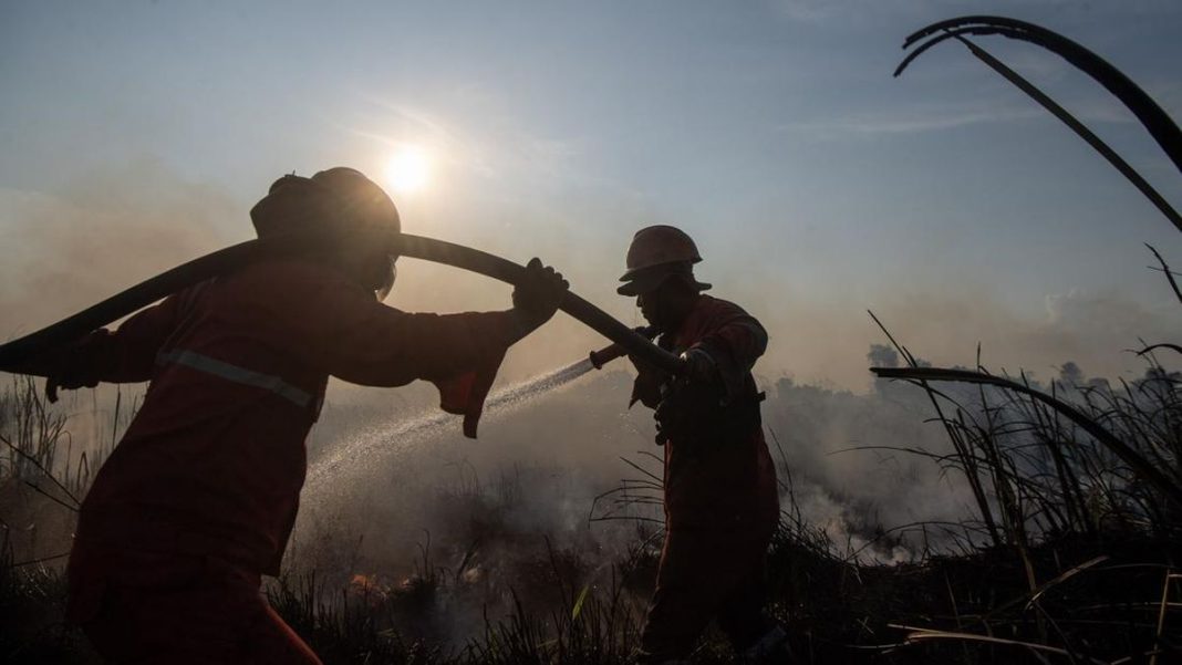 Berjibaku Padamkan Kebakaran Lahan di Ogan Ilir