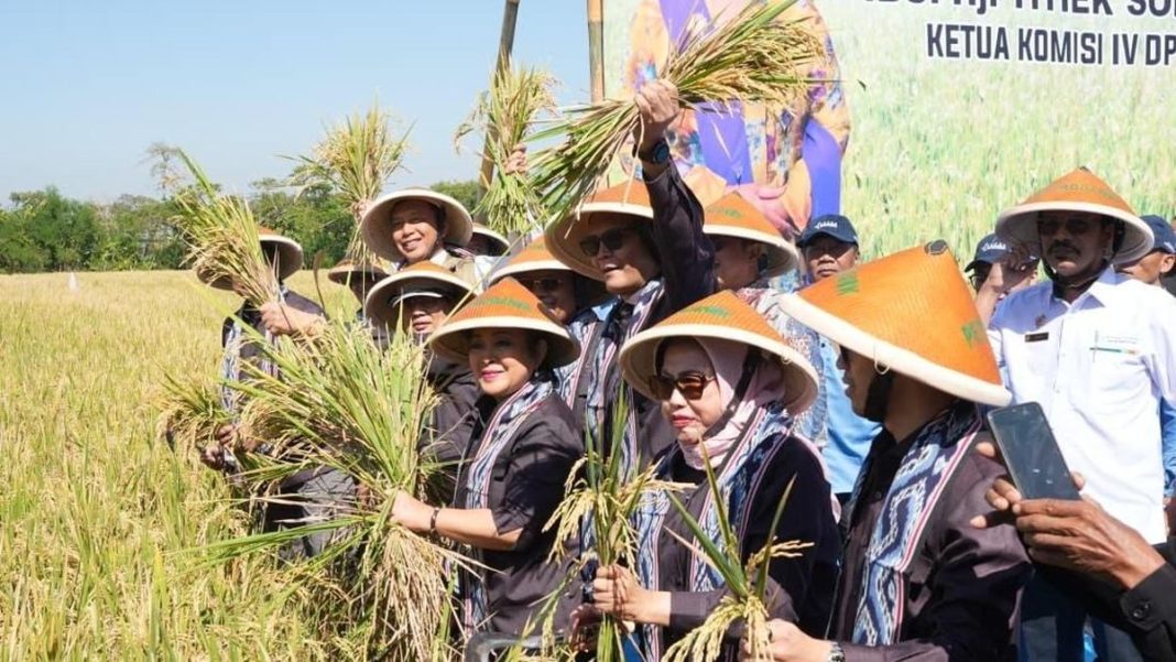 Sinergi BULOG dan Komisi IV DPR Dukung Kesejahteraan Petani