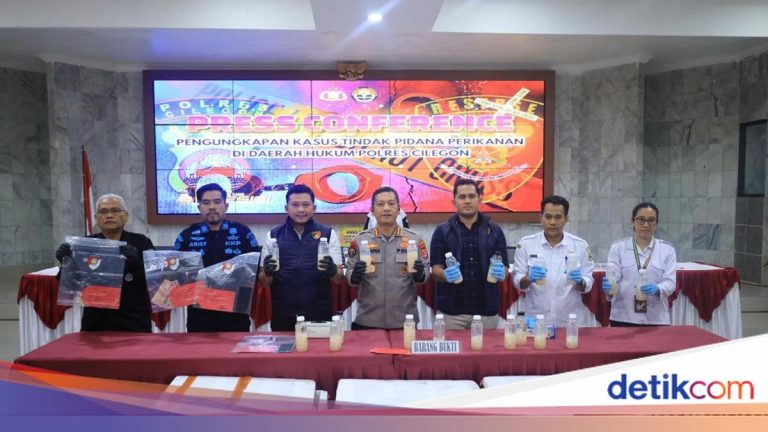 Penyelundupan Benur Senilai Rp 7,5 Miliar Digagalkan di Pelabuhan Merak