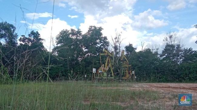Dari Sumatra, PHR Sumbang 200 Ribu Barel Produksi Minyak Nasional