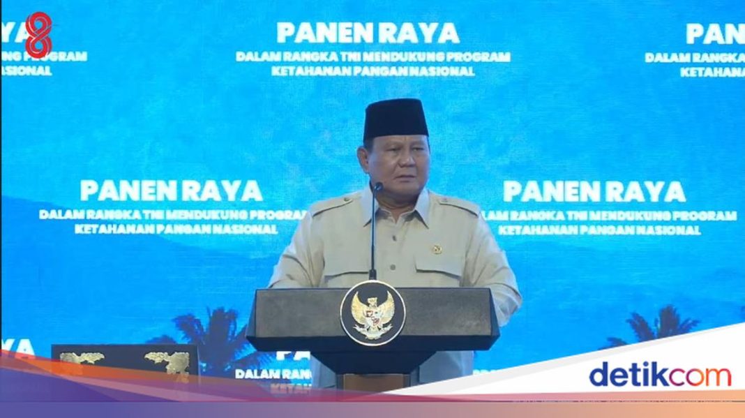 Yang Bilang Beras Mahal, Ikut Tanam Padi Sendiri