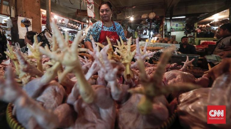 BPS Bongkar Penyebab Harga Daging Ayam Tembus Rp100 Ribu di 188 Daerah