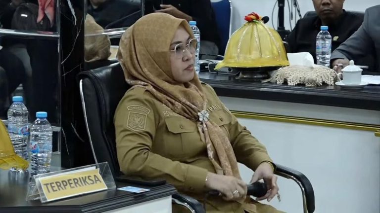 Hujan Interupsi Saat Bupati Gowa Bawa Wanita Hamil ke Rapat DPRD