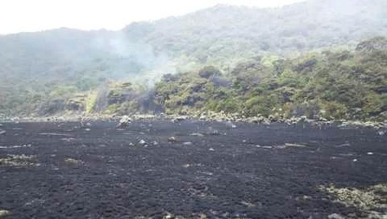 Karhutla di Alun-alun Suryakancana Gunung Gede Pangrango
