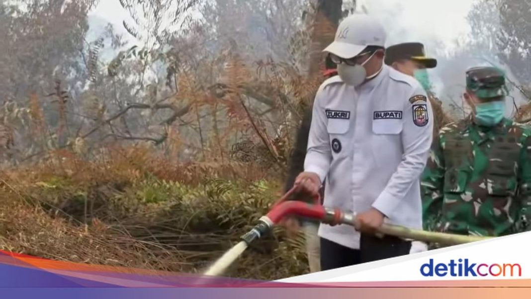Bupati Pelalawan Liburkan Sekolah yang Terdampak Kabut Asap Karhutla