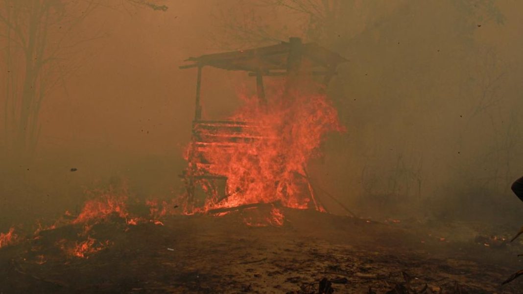 Karhutla ‘Kepung’ IKN, Kebakaran Wilayah Penyangga Terus Melebar