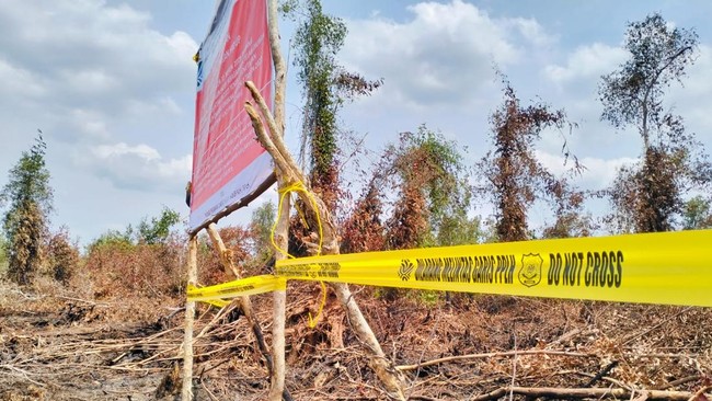Konsesi Perusahaan Sawit Disegel-Garis Kuning Efek Kebakaran Berulang – Publik Pos Update
