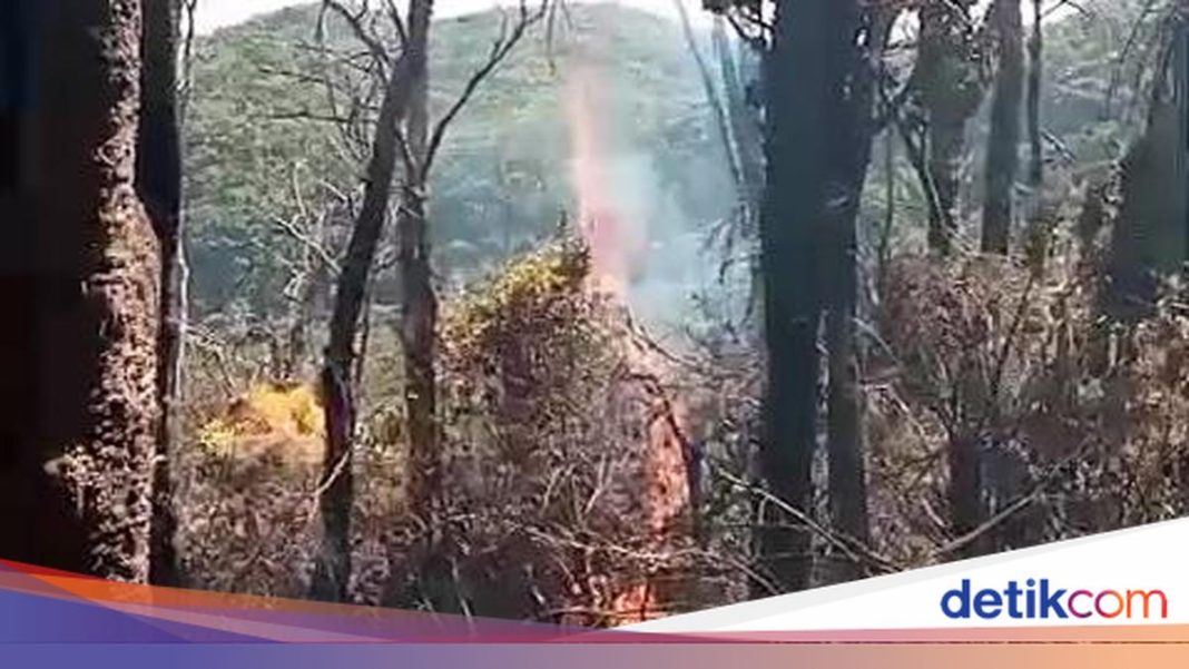 132 Kasus Karhutla di Jabar, KDM Minta Pendakian Gunung Disetop Sementara