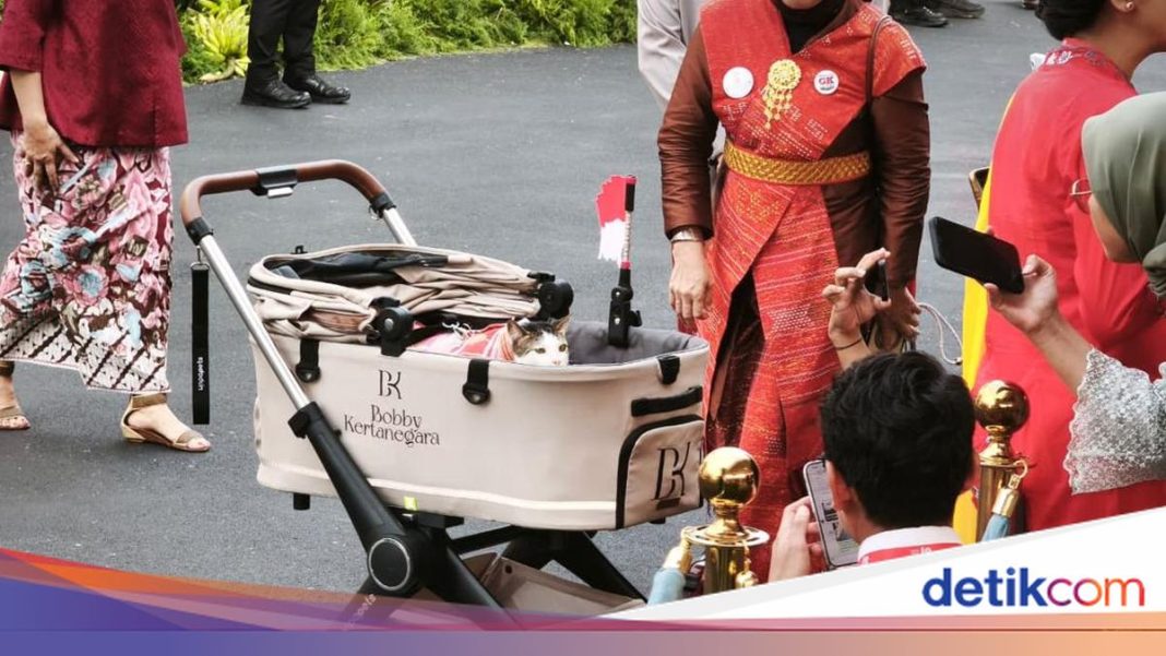 Kucing Bobby Kertanegara Ikut Upacara Penurunan Bendera HUT Ke-81 RI di Istana