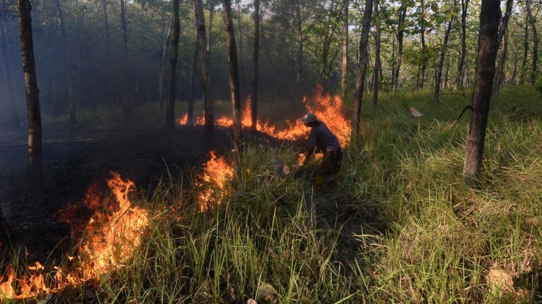 Karhutla di Bangka Tengah Tembus 118 Hektare Selama Juli-Agustus 2026