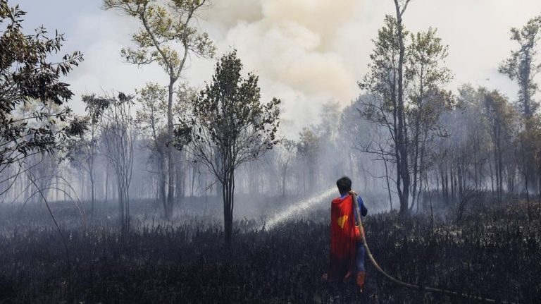 Remaja ‘Superman’ Ikut Lawan Karhutla Demi Selamatkan Rumah