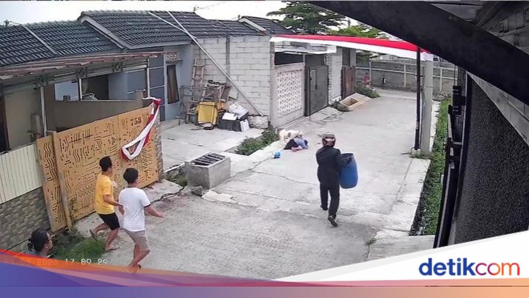 Pitbull Serang Bocah di Bandung, Sahroni Sebut Pemilik Bisa Dipidana Jika Lalai