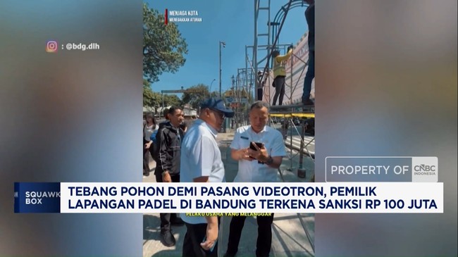 Tebang Pohon Untuk Videotron, Pemilik Padel Kena Sanksi Rp 100 Juta – Publik Pos Update