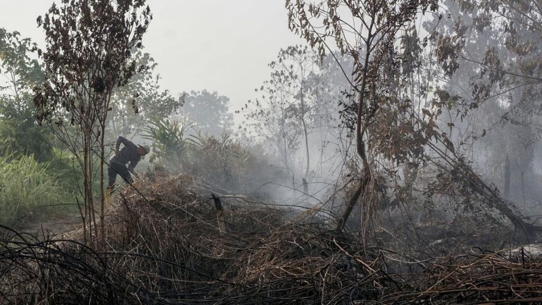 BNPB Catat 8.900 Ha Lahan Terbakar di Kalimantan Selatan