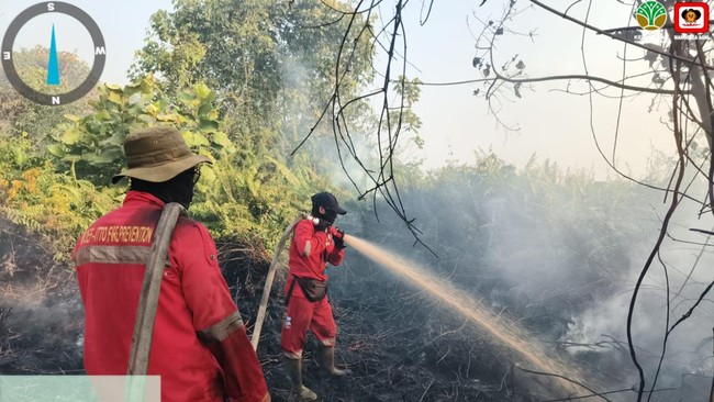 335 Konsesi Hutan di Sumatra & Kalimantan Terbakar, Luasnya 85.000 Ha – Publik Pos Update