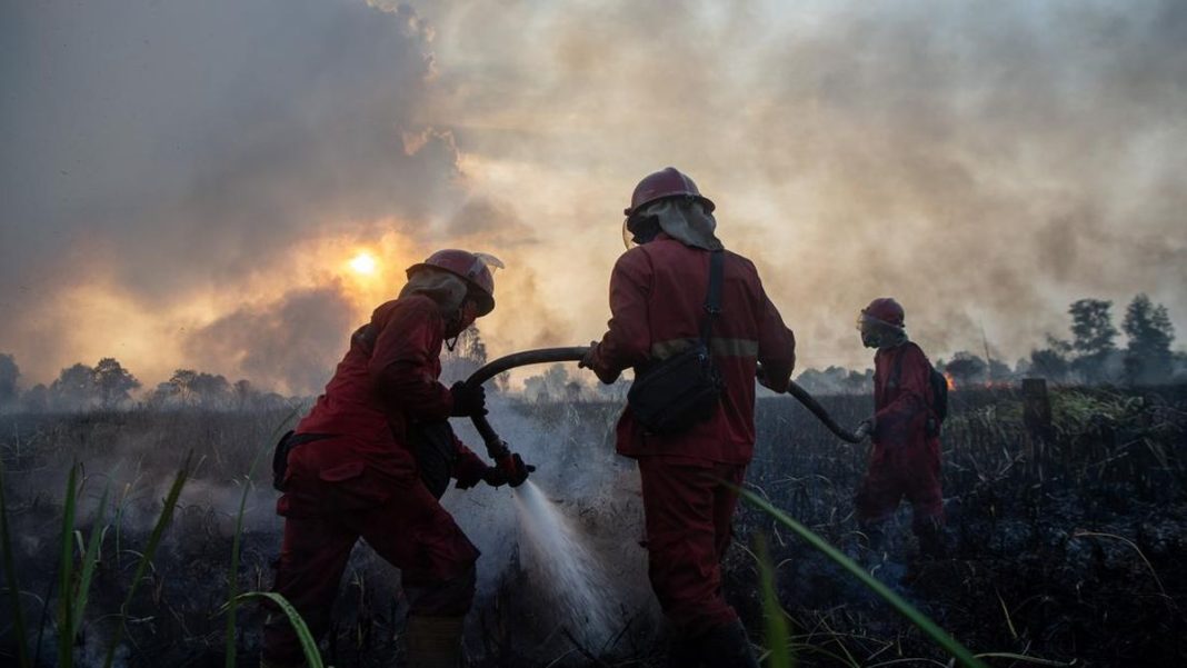 Antisipasi Karhutla, Kemenhut Deteksi 73 Titik Panas di Kalsel