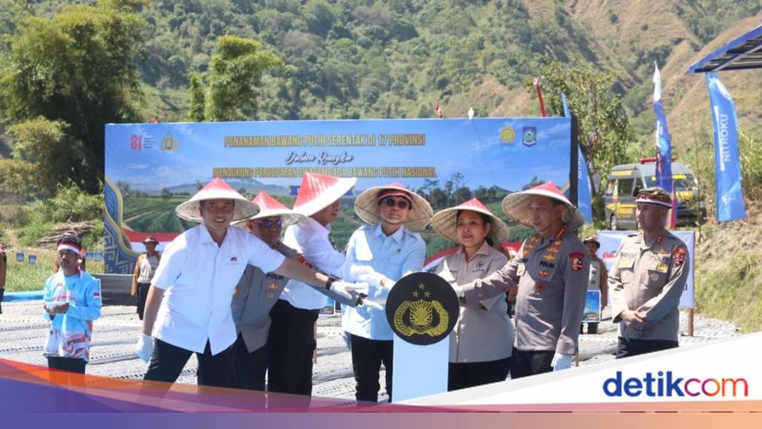 Kemenko Pangan Perkuat Ekosistem Bawang Putih dari Petani hingga Pasar