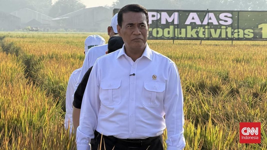 Amran Titahkan Bulog Gelontorkan 300 Ribu Ton Beras Premium ke Ritel