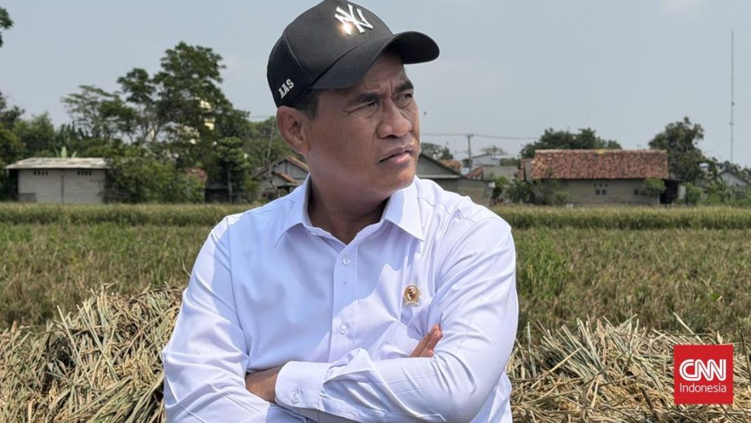 Amran Kantongi Restu Prabowo Gebuk Mafia Beras: Beliau Bilang Gaspol