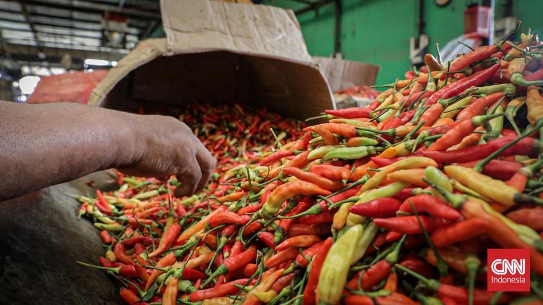 Harga Cabai Rawit Makin Pedas, Nyaris Tembus Rp100 Ribu per Kg