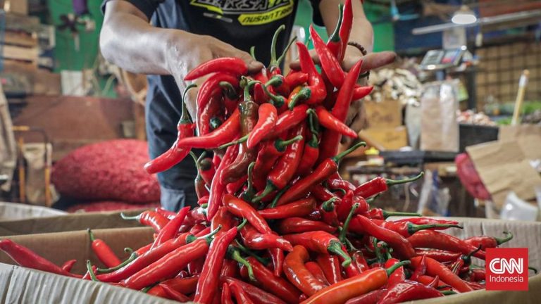 Harga Cabai Merah Naik di 314 Daerah, Tertinggi Rp193 Ribu per Kg