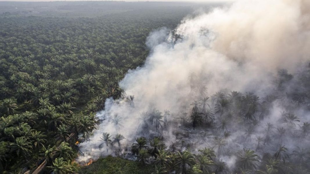 112 Orang Ditetapkan Jadi Tersangka Kasus Karhutla Sepanjang 2026